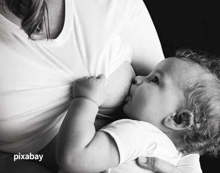 育婴知识母乳豢养对预防儿童湿疹无效