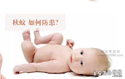 秋蚊 如何防患?