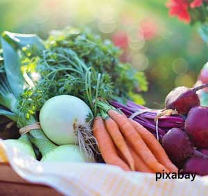 学习7种特殊宝宝的营养菜单