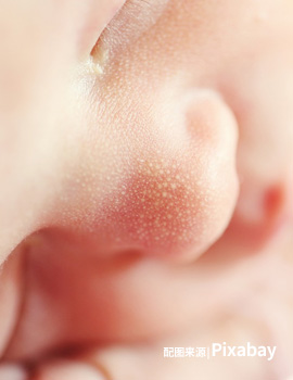 育婴网：如何为婴儿选择护肤品
