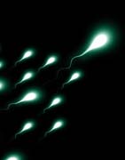 “名人效应”名人的精子就是优质精子？