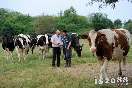精细化的牧场管理是奶源质量的保证