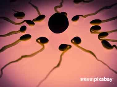 提升卵子质量的7个小秘诀