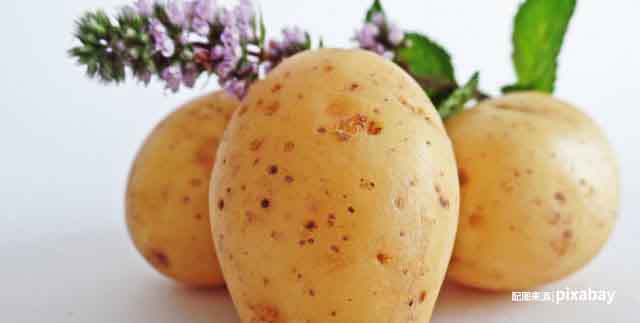 孕妇哪些东西不能吃?这8种一定要忌口!