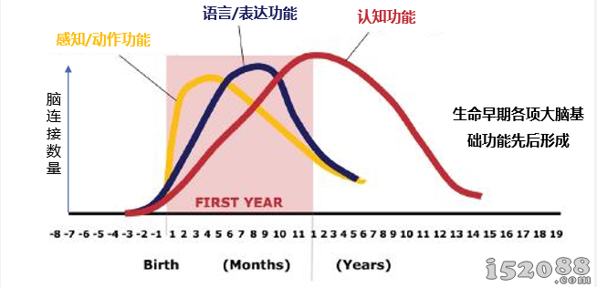 婴幼儿大脑早期发育关键营养新发现，“脑磷脂群”得到百位育儿专家一致认可