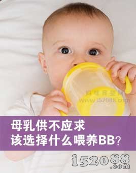 母乳供不应求 该选择什么喂养BB？