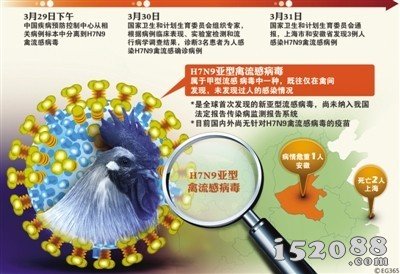 学习H7N9禽流感常识  预防警惕病毒来袭