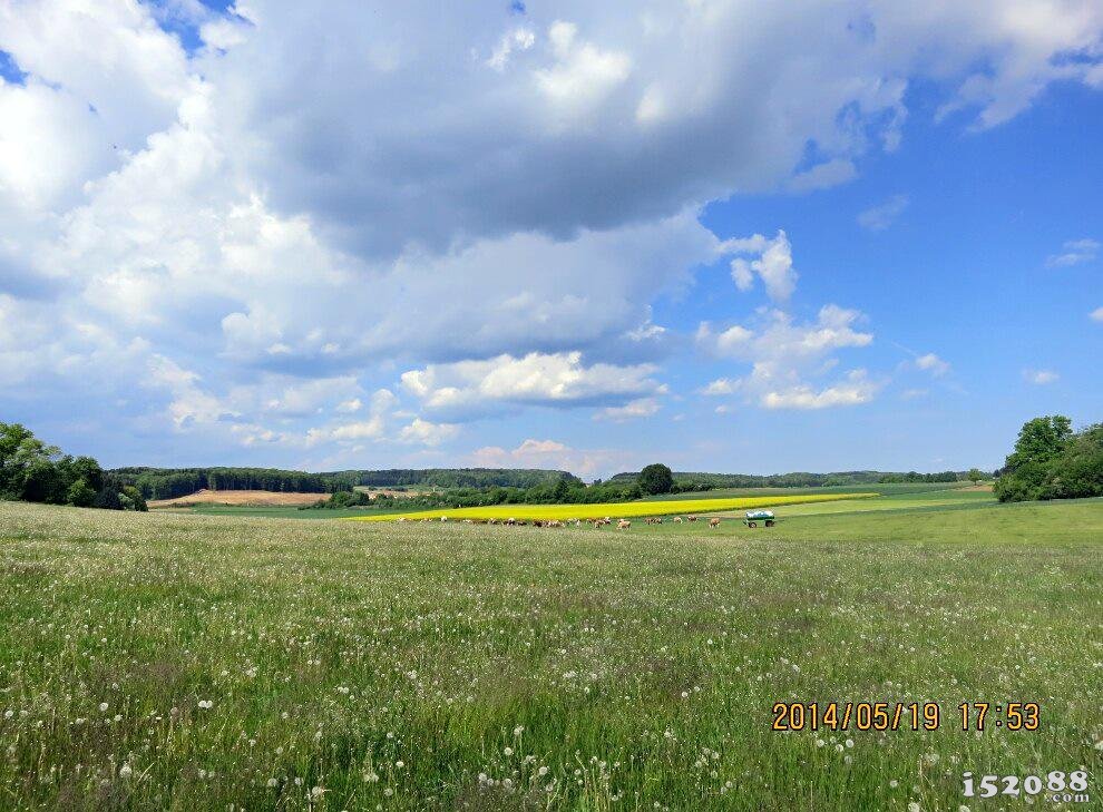德国南部施瓦本汝拉山地区的 Kalmenhof  Demeter(德米特)有机牧场