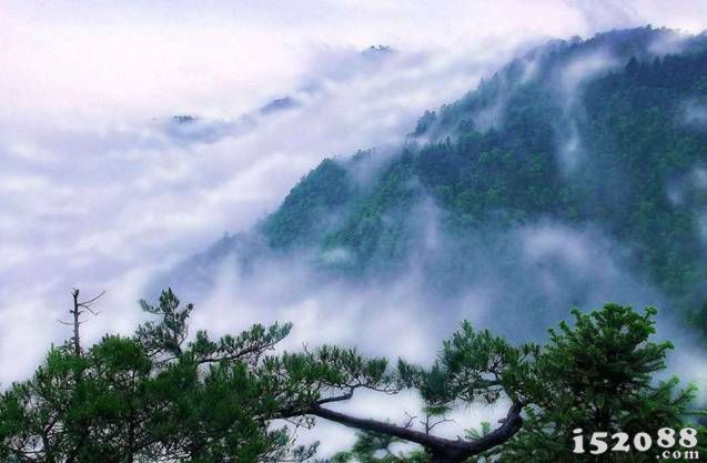 “自然教育”正成为全国自然保护区新时代背景下的探索方向