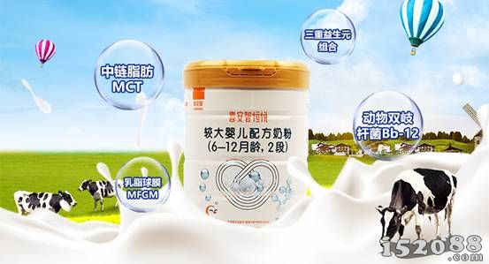 专注消化吸收，喜安智2019“溶”入成长乐不停